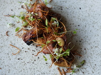 Chestnuts and ginkgo nuts – Forest-raised pigs + non-alcoholic pairing