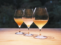 秋のフルコース　〜薄萩の声〜+ Non-alcoholicペアリング5杯