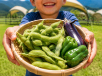 【季節限定】有機野菜の収穫体験オプション