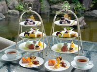 Grape Afternoon Tea ~Autumn Forest Tea Time~