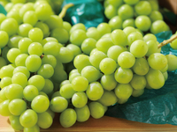 Fruit Course “Shine Muscat” (Child Price)
