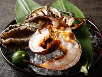 【 Matsu 】× “Web-exclusive Summer” Steak 25% Extra Fair