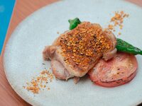 【LUNCH | 11:00 only】 PREFIX COURSE with toast drink, 5 courses total (advance reservation required)