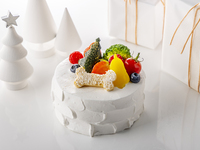2026 Christmas cake for dogs