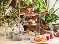 【TEA TIME】アフタヌーンティーセット＜土日祝＞