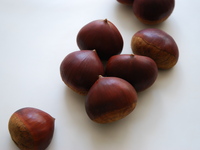 9/25 onwards: Seasonal dessert course (6 courses total)