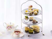 Afternoon Tea（11月14日）