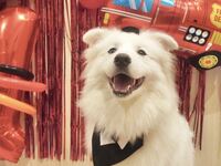 【18時枠限定】まちたくんバースデーイベント