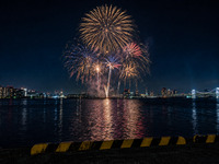 【東京湾大華火祭】大人用（一部）