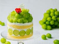 Suzawa Orchard Kiwami Shine Muscat Cake (10.5 cm)