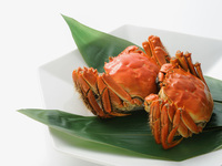 《ランチ限定》ダブル上海蟹ショートコース（オス＆メス食べ比べ）