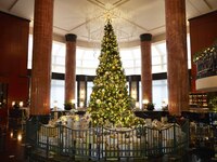 【Reservations for November onward】Weekday lunch buffet + one complimentary drink of your choice