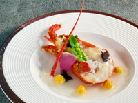 11月12月 【要予約】＜高級食材を使った美食コース＞ 火龍果（ひりゅうか）