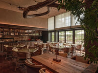 【Patina Dining Days】選べる1ドリンク＋全5品ランチ P72（平日15％ご優待）