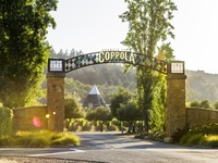 Café California WINE Event vol.11 ~ Francis Ford Coppola ~
