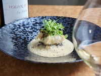 Seasonal Special Course (8 dishes + wine pairing) 