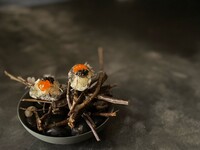 奈良の食材を使った日本酒とも相性のいいディナーコース