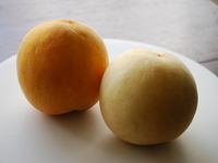 9/19〜23 onwards: Seasonal dessert course (6 courses)