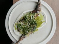 Roasted saury with ahoblanco and lemon marigold