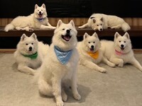 《First-time limited/weekdays》 First-timer 2-session ticket (50 mins × 2 sessions)