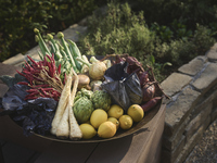 [Held on Oct. 17 & 18] Harvest Festival celebrating autumn’s bounty (for children ages 6–12)