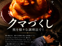 クマづくしコース