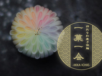「一菓一会 －IKKA ICHIE－」日帰り（午前/午後）プラン