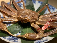 活松葉蟹半身コース 11月
