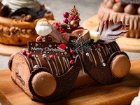 ◆事前決済×早割／10/31まで◆【Christmas Cake 2026】 ショコラノエル（約 17㎝）＜50台限定＞