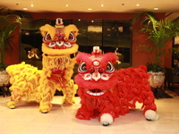 【開運‼】中国獅子舞バイキングショー2027（1月3日限定優待）