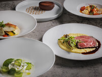 Dinner 【Festive Grazioso】 5 course 12/18～