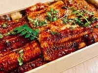 Unagi bento