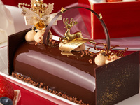 Bûche de Noël (7.5 cm wide × 16 cm long × 5 cm high) ※Serves 4–6