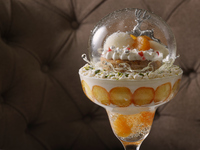 [12/1–12/25] Satsuma mandarin Christmas snowglobe parfait