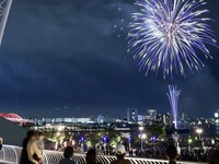 [HANABI Anniversary Plan] Includes toast sake and whole cake