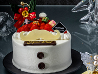 Strawberry Shortcake  ~Santa Claus's Gift~