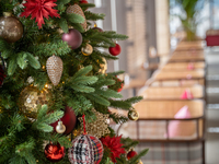 【Xmas｜ランチ】アーリークリスマス ランチコース