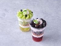 Premium Fruit Parfait/Black Shine Muscat