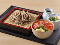 Soba & Salmon Small Bowl Set