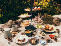 12/24–12/26 [Afternoon Tea with Sparkling Wine] A Journey Through the Wonders of Moment Afternoon Tea