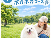 Showa Memorial Park: A cozy walking route! Includes a Polaroid photo (45 minutes)