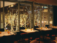 【乾杯スパークリングワイン付き】2026 George’s Dinner IlluminationCourse（窓側確約）