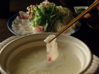 NEW【極】きわみ【豆乳しゃぶ】12200