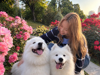 Seasonal Kizuki Park Walking Tour! With original merchandise (45 minutes)