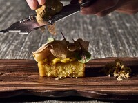 [11/1～11/30] White Truffle Dinner Experience