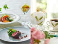 11月限定おすすめ贅沢ランチ【食後のカフェフリー付】オマール海老や牛フィレなど味わうコース全5品　-SPECIAL-